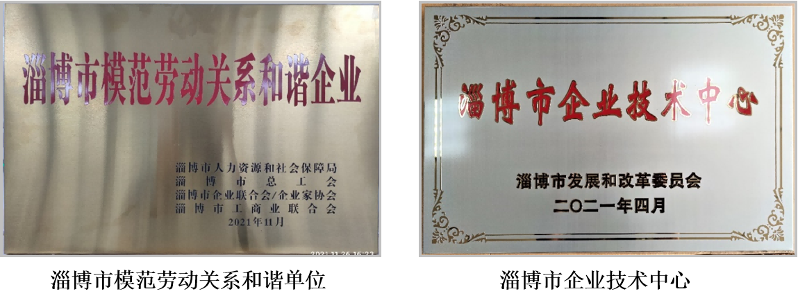 公司履行社會責任報告(2021年度)